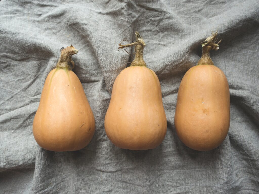 pumpkin (butternut squash) 