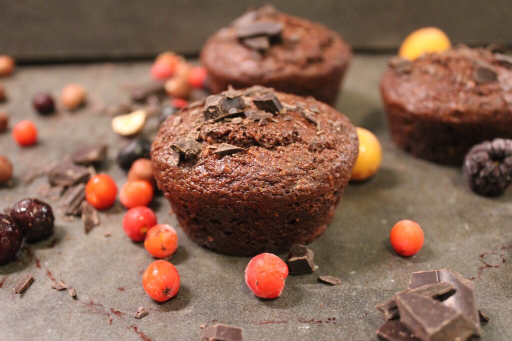 healthy chocolate muffins