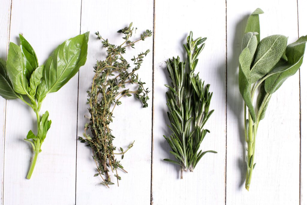 fresh herbs: basil, sage, thyme, rosemary