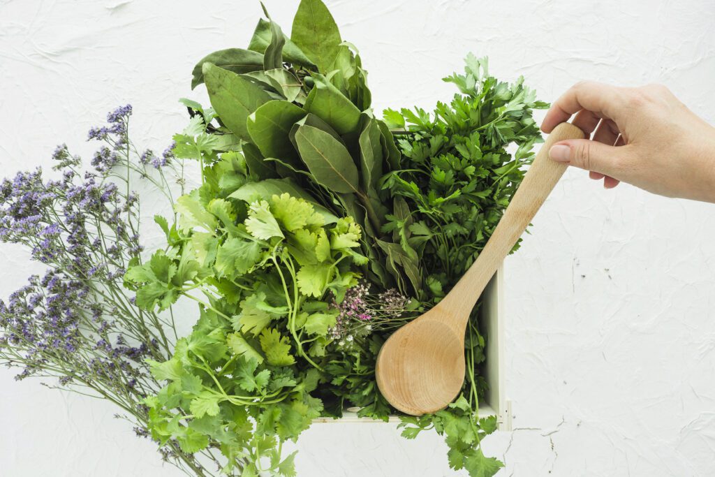 Fresh herbs: sage, cilantro, thyme, rosemary, oregano