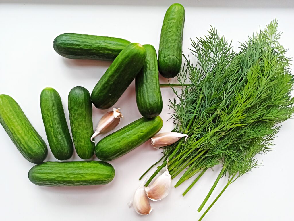 marinated cucumbers with fresh dill and garlic