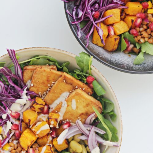 plant power bowl: tofu, edamame, sweet corn, red onion, purple cabbage, pumpkin, lentils, tahini