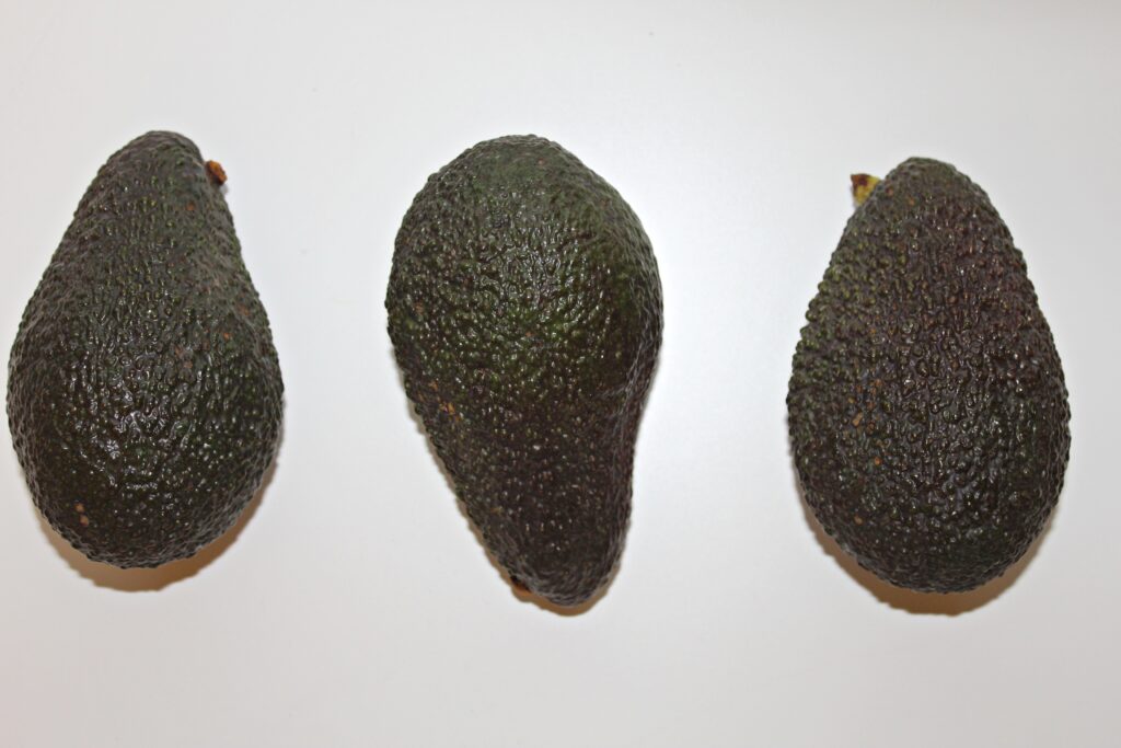 avocado