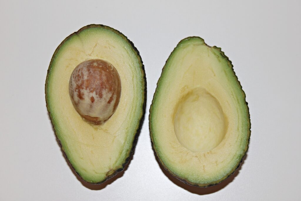 avocado