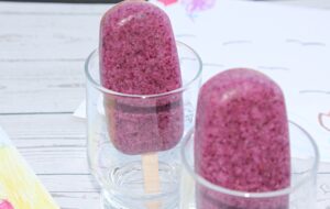 blueberry popsicles without sugar