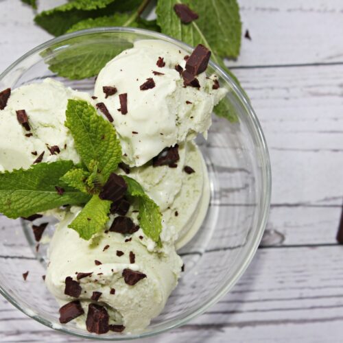 mint chocolate chip ice cream made with cottage cheese